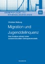 Migration und Jugenddelinquenz - Eine Analyse anhand eines sozialstrukturellen Delinquenzmodells